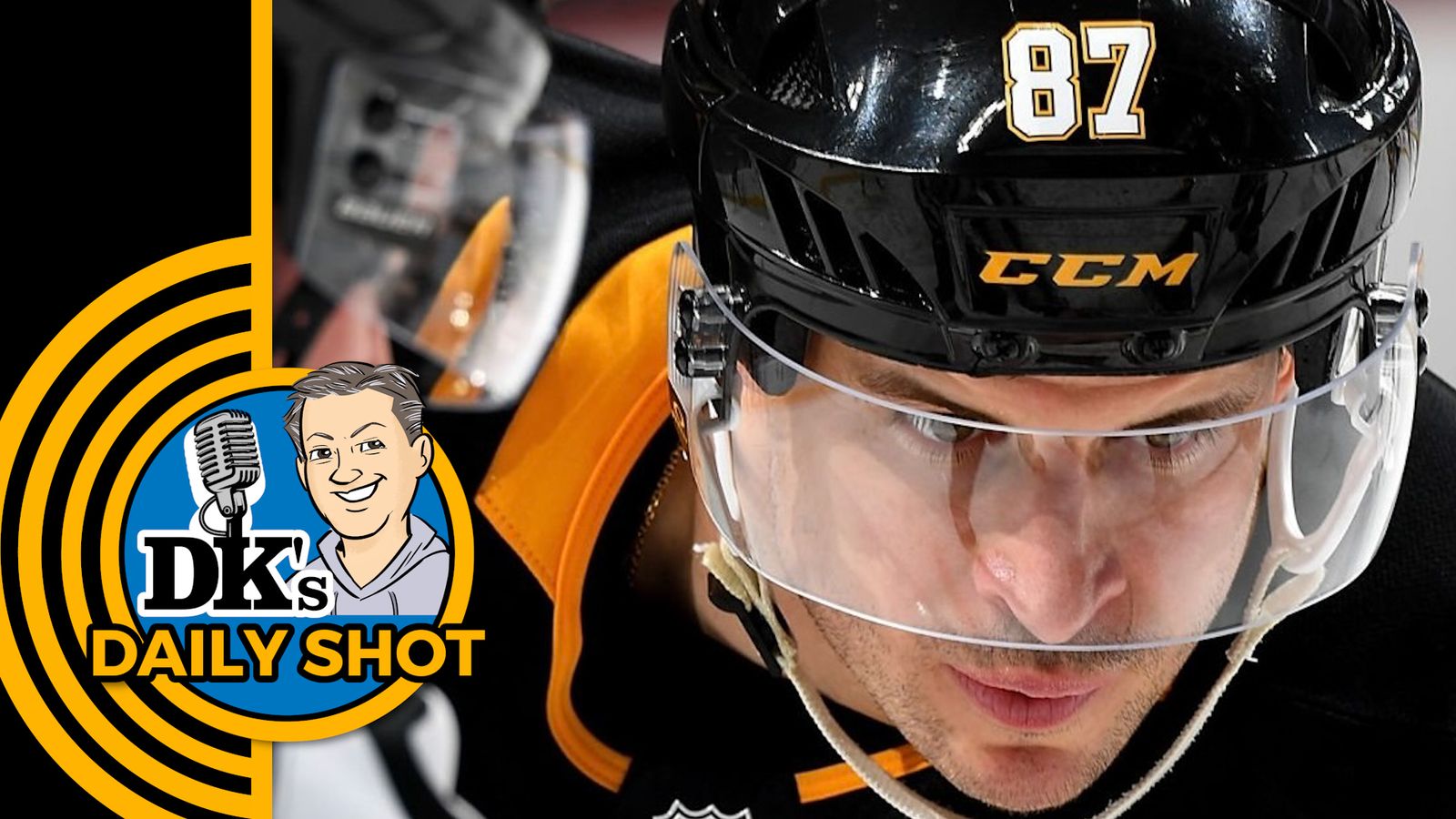 DK's Daily Shot of Penguins: Sid's reality view taken on the North Shore (Podcasts)